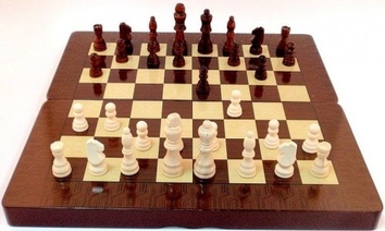 Шашки, шахматы, нарды 3 в 1 - фото 3
