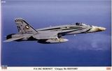 HA00909 F/A-18C Hornet Chippy HO History