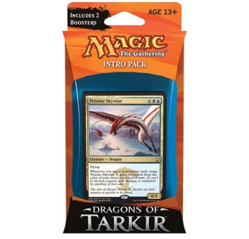 Magic. Dragons of Tarkir Intro Pack: Enlightened Mastery