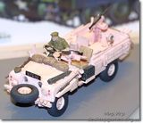 Британские  S. A. S. «Розовые Пантеры« на Land Rover