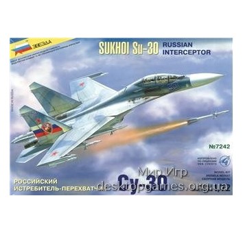 Su-30 Russian interceptor